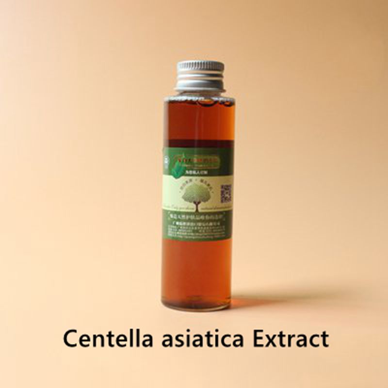 Centella asiatica Extract Protecting skin, anti-oxidation, reducing weight and swelling, anti-allergy, promoting blood circulati