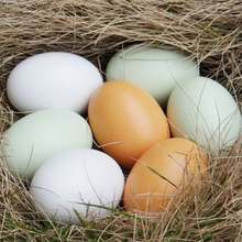 Children's wooden DIY toys realistic simulation eggs DIY painted graffiti toys game house creative painted toys 3 colors 0.045