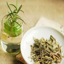 Lemon grass essential oil 10ml, insect repellent, regulate skin, eliminate lactic acid, invigorate spirit