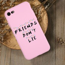 Letter phone Case For iPhone 6S 5S SE 7 8 Plus X XS Chrysanthemum phone case Flower phonecase For iPhone 11 11pro Back Cover