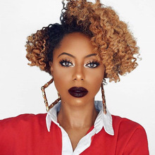 Sleek Short Lace Human Hair Wigs For Women Ombre Brazilian Curly Human Hair Wig Remy Brazlian Hair Curly Lace  Wig Free Shipping
